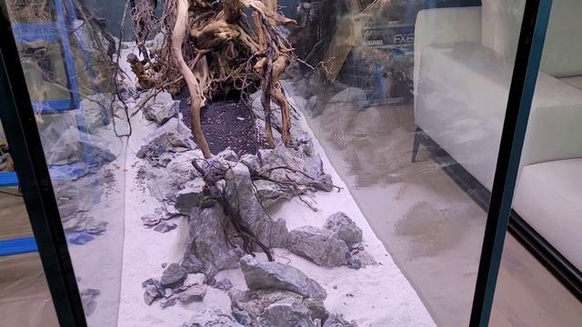 Запуск аквариум 800л. Декор аквариума из коряг и камня. Хардскейп. Природный аквариум. Акваскейп. смотреть онлайн