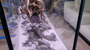 Запуск аквариум 800л. Декор аквариума из коряг и камня. Хардскейп. Природный аквариум. Акваскейп.