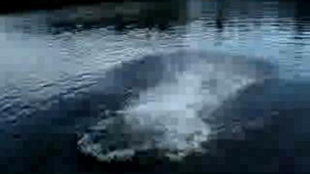 что такое тарзанка 