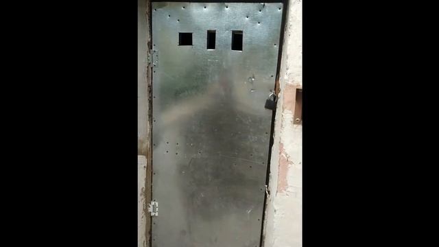 Кошка в подвале смотреть онлайн