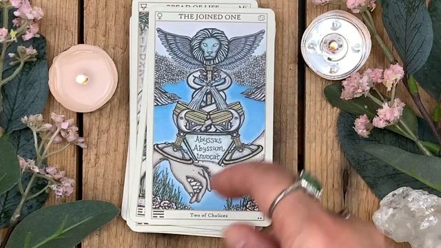 Lets explore the Spirit Keepers Tarot Revelation Edition including the journal and the Book of Maps смотреть онлайн