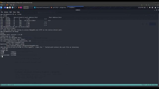 TryHackMe | CMSpit Room Walkthrough [Voice | Explained] смотреть онлайн