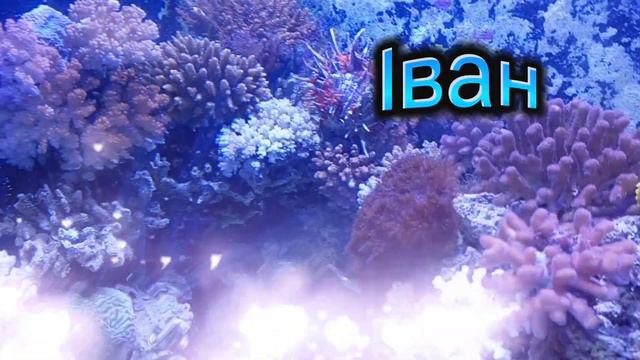 Іван з Днем Ангела Вітання. Привітання для ІВАНА! смотреть онлайн