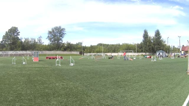 Кудинова Юлия Кубок Верхневолжья аджилити 2 смотреть онлайн