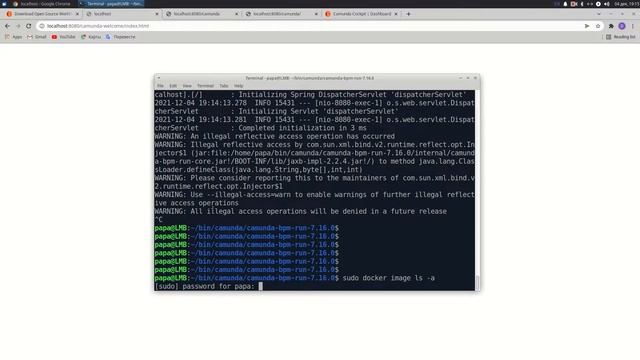 Camunda Platform Open Source Community Edition (OSCE) v. 7.16.0 installation: standalone, docker смотреть онлайн