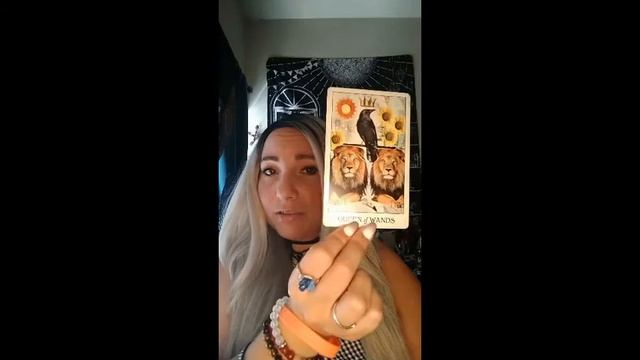 SHOW AND TELL OF MY TAROT & ORACLE DECKS! Pt. 1 Mini tips and Reviews Before You Buy a Deck смотреть онлайн