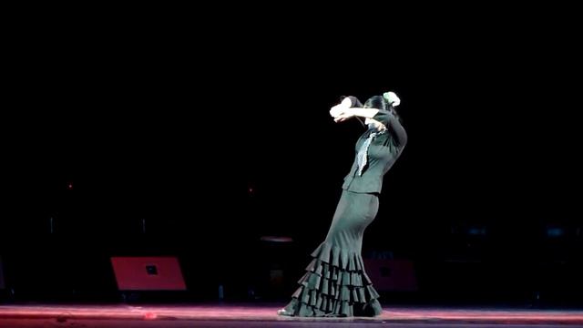 Festival "Flamenco del Norte" en San Petersburgo, 2010. Elena Nesterenco.Seguirilla. смотреть онлайн