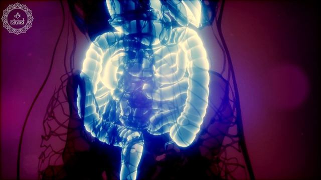 Improve Your Digestive Health | Energy Healing for Digestive System | Best Gut Health Music | 528 H смотреть онлайн