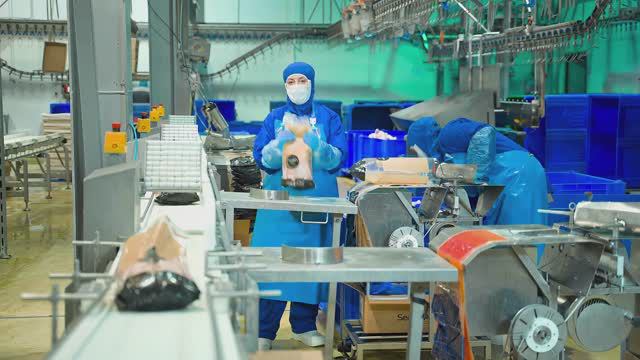 Птицефабрика смотреть онлайн