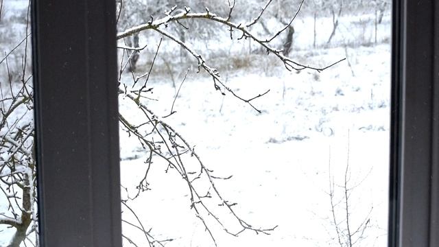 Winter has come... / Зима пришла... смотреть онлайн