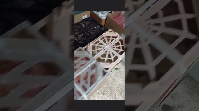 Свежесрезанные розы (Россия)
