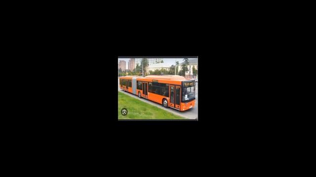 МАЗ 205 , #автобусы #рассказы смотреть онлайн