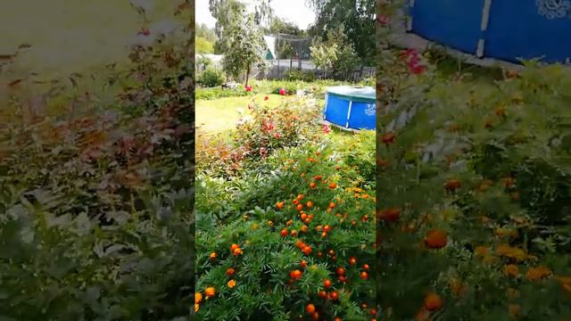 Дача на Урале! смотреть онлайн