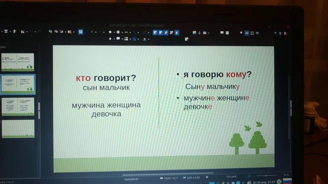 Русский для иностранцев. Дательный падеж примеры