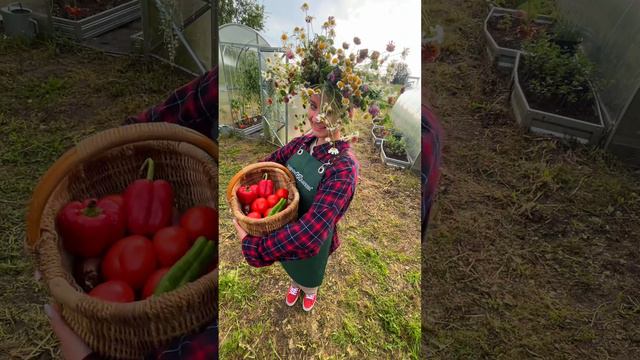 ЭТО НАДО ВИДЕТЬ! смотреть онлайн