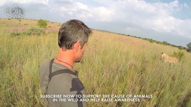 LION HUGGING | The Lion Whisperer