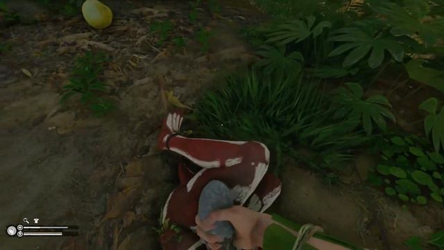 Green Hell | Spirits of Amazonia Story Mode - Under Attack | S02E11 смотреть онлайн