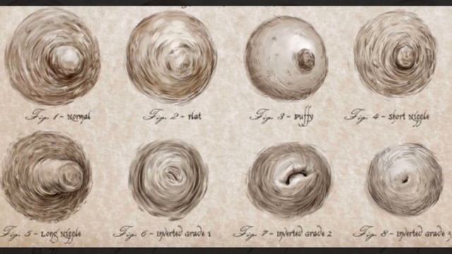 Самые интересные факты о сосках, которые мы должны знать смотреть онлайн