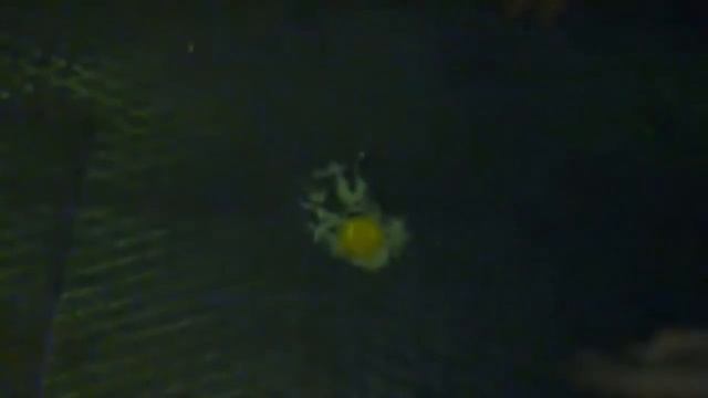 Металлург пожарил яичницу прямо в цехе