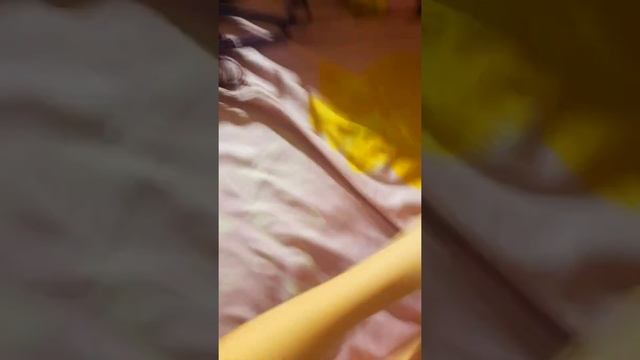 Обзор на амуницию до моей собаки смотреть онлайн