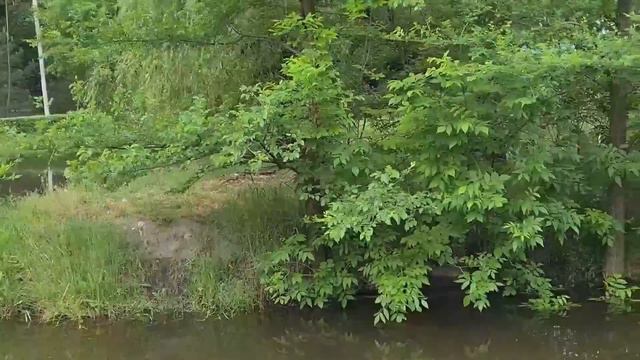 Запорожье 26. 05. 2023 ВСЁ БУДЕТ ХОРОШО 🙏 смотреть онлайн