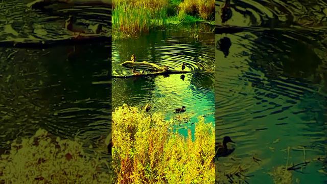 1000027333.mp4 смотреть онлайн