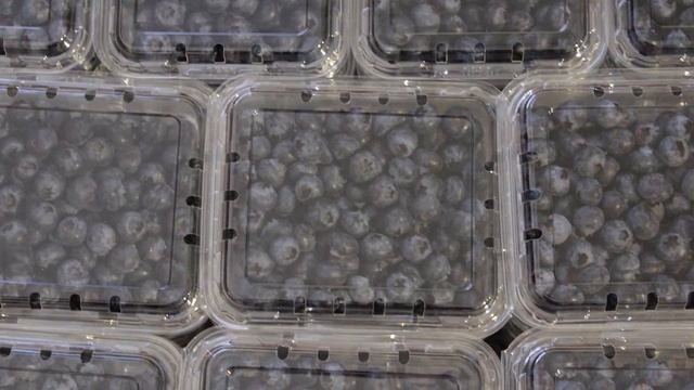 InspiraFarms Client Success Story: Lauetta Farm in Zimbabwe смотреть онлайн