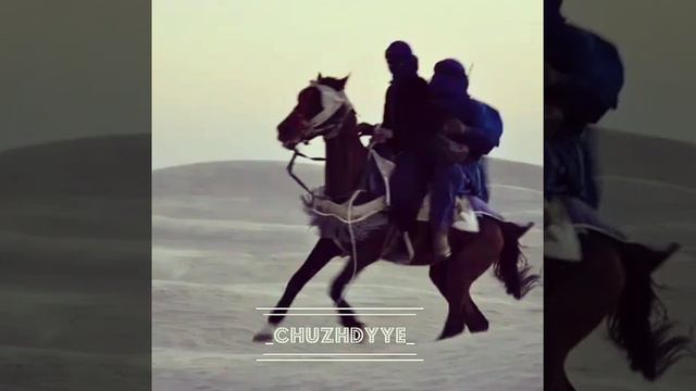 Ислам религия мужчин смотреть онлайн