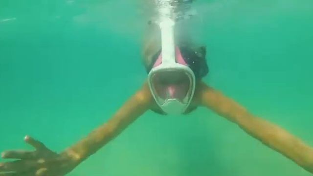 Greatever G2 Full Face Snorkel Mask with Latest Dry Top System 180 Degree Panoramic View. amazon смотреть онлайн