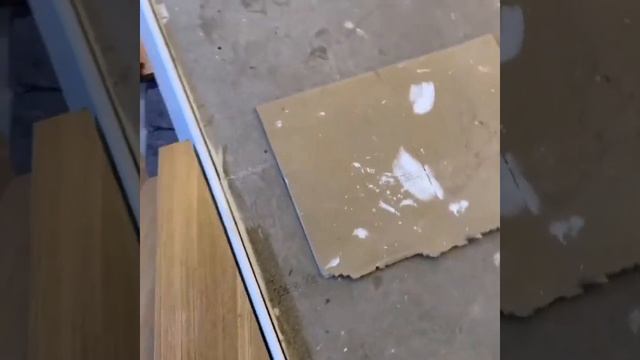 Лестница на монокосоуре смотреть онлайн