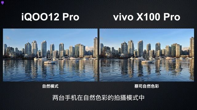 Vivo X100 Pro Vs IQOO 12 Pro -Camera Comparison -Zoom Test смотреть онлайн