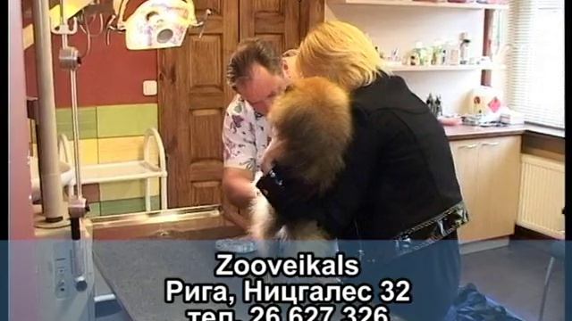 Лучшие корма для животных смотреть онлайн