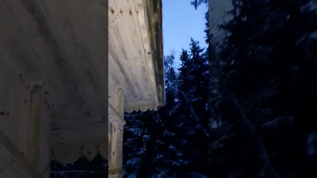 7 февраля 2024 г. смотреть онлайн