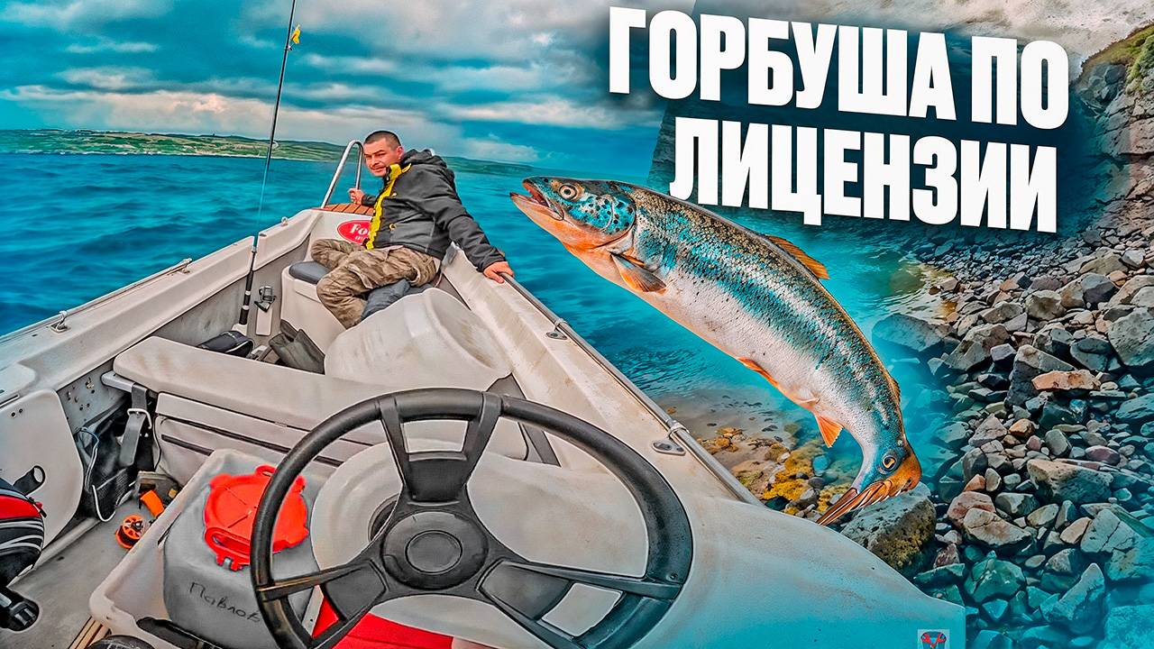 за горбушей по лицензии смотреть онлайн