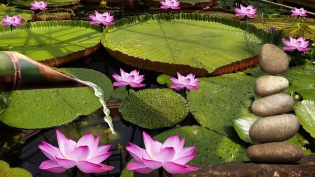 Расслабляющая легкая музыка piano, для сна, релакса, медитации смотреть онлайн