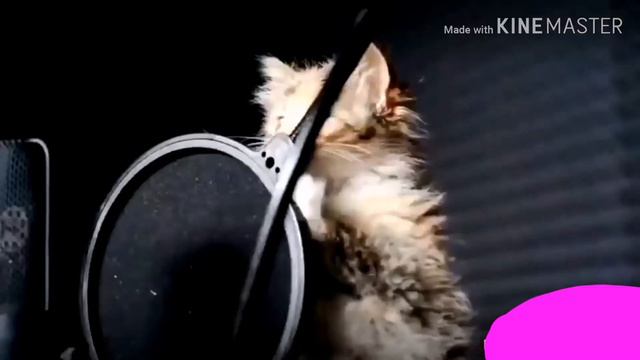 Блин хочется одновременно плакать и смеяться 😭💗 смотреть онлайн