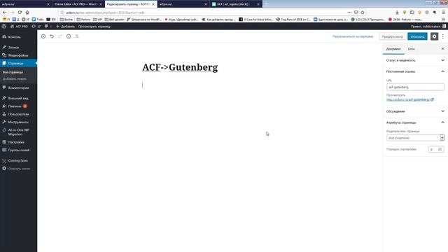 Перевод верстки с Advanced Custom Fields на Gutenberg смотреть онлайн