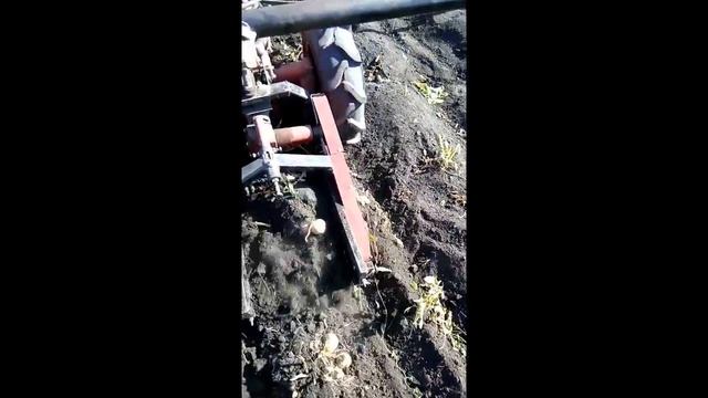 Копка картофеля картофелекопалкой ккм-2 и мотоблоком агро 2018 год смотреть онлайн