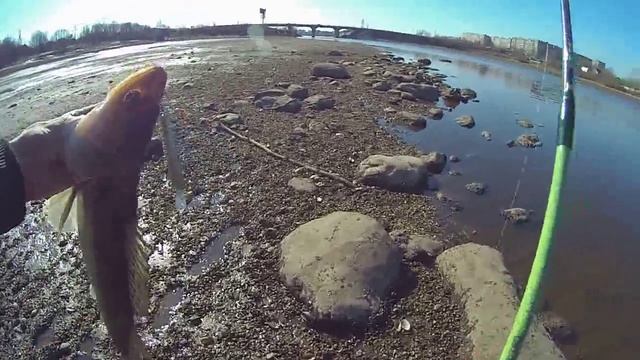 Ягорба 12 04 смотреть онлайн