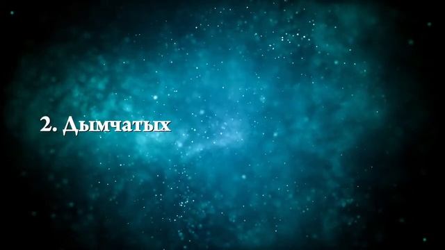 К чему снится много кошек - Онлайн Сонник Эксперт смотреть онлайн