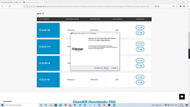 install OpenJDK 8 or OpenJDK 11 on windows 10 смотреть онлайн