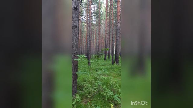 Там где я живу. (спасибо за лайк) смотреть онлайн