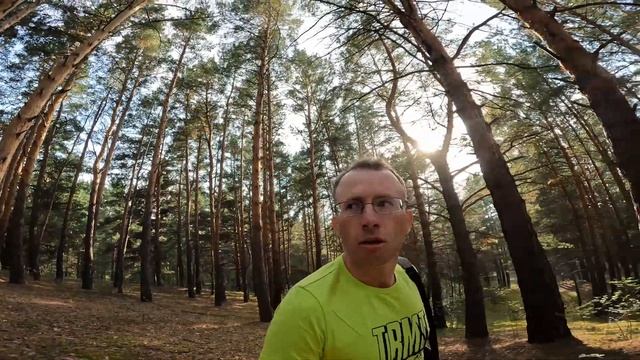 Гуляю в сосновом бору смотреть онлайн