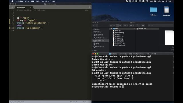 iPhone controls remote server to analyze Twitter | Python3 - Catch Questions Academy смотреть онлайн