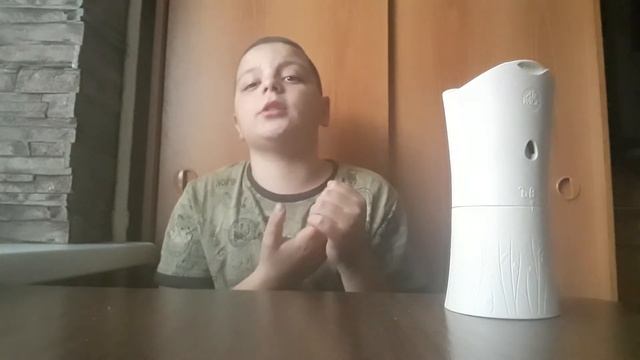 обзор на автоматический освежитель воздуха