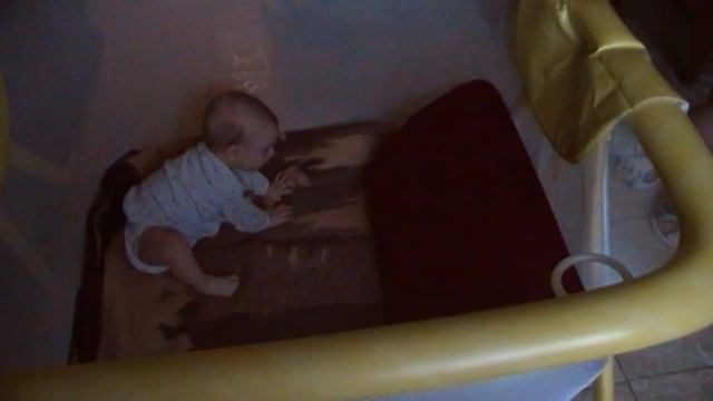 манеж смотреть онлайн