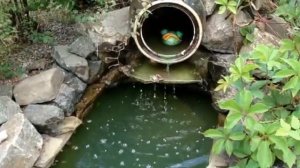 оригинальный домашний пруд с водопадом за домом