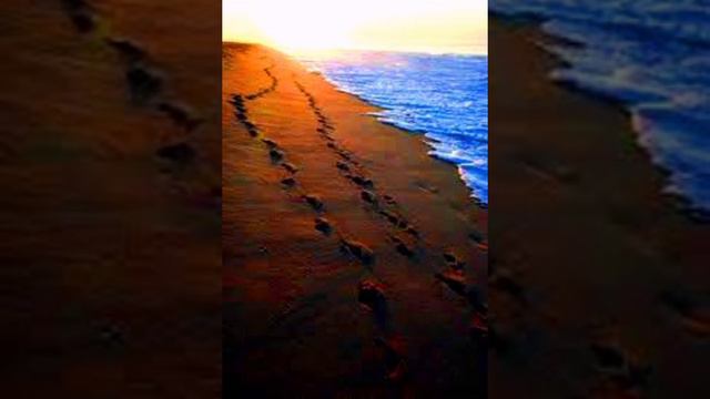 Следы на песке. смотреть онлайн