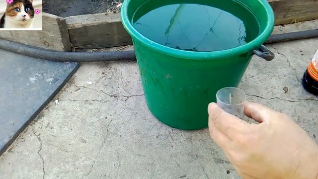 Чем подкормить малину до цветения весной смотреть онлайн