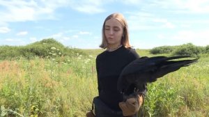 Необычный питомец: можно ли приручить ворона